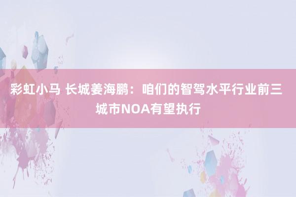 彩虹小马 长城姜海鹏：咱们的智驾水平行业前三 城市NOA有望执行