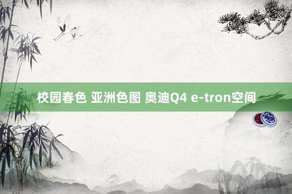 校园春色 亚洲色图 奥迪Q4 e-tron空间